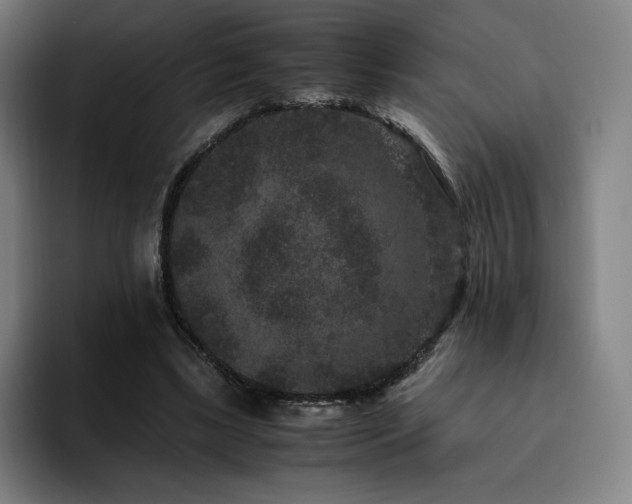 X0000094780443200711161419