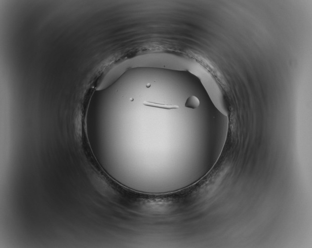 X0000094780445200711161419
