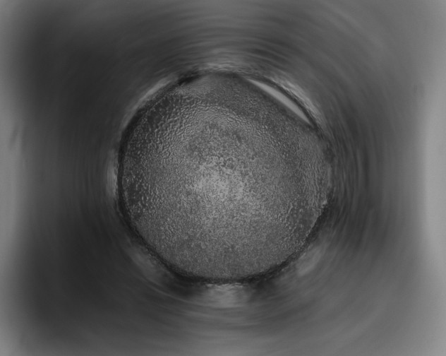 X0000094780446200711161419