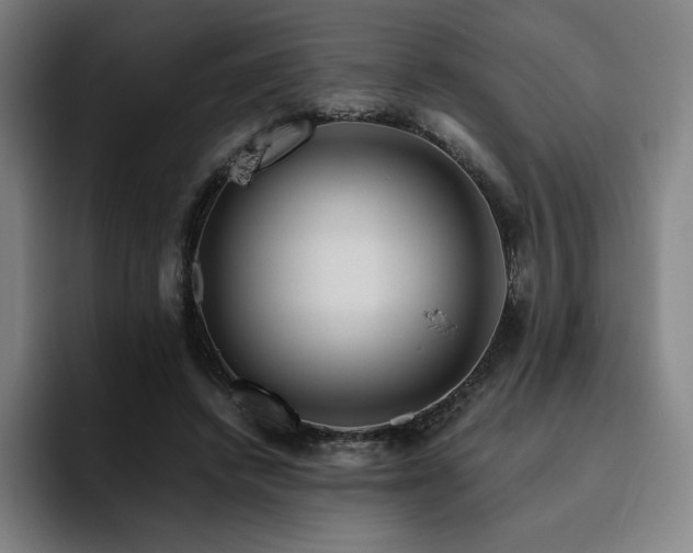 X0000094780448200711161419