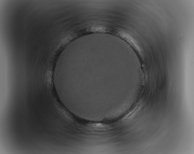 X0000094780449200711161419