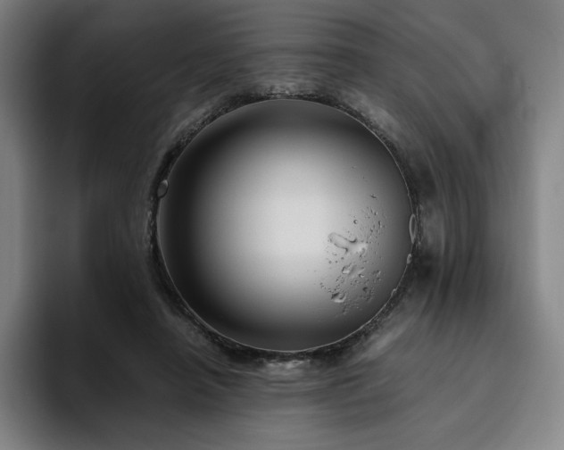 X0000094780450200711161419