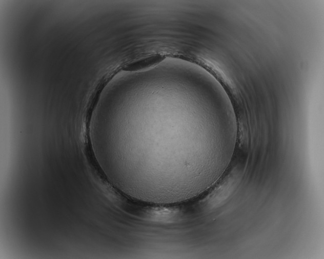 X0000094780453200711161419