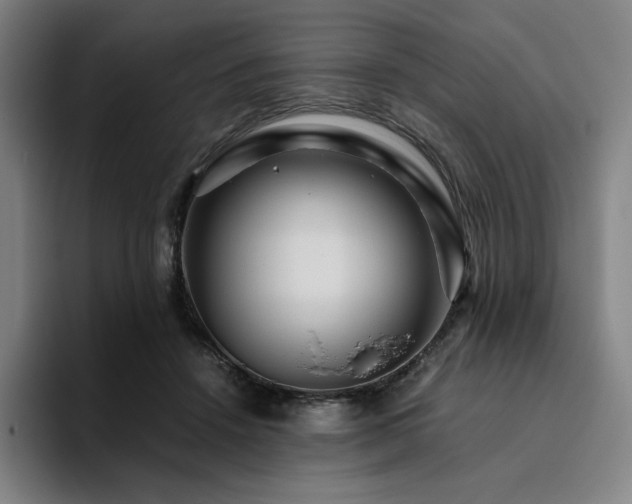 X0000094780456200711161419