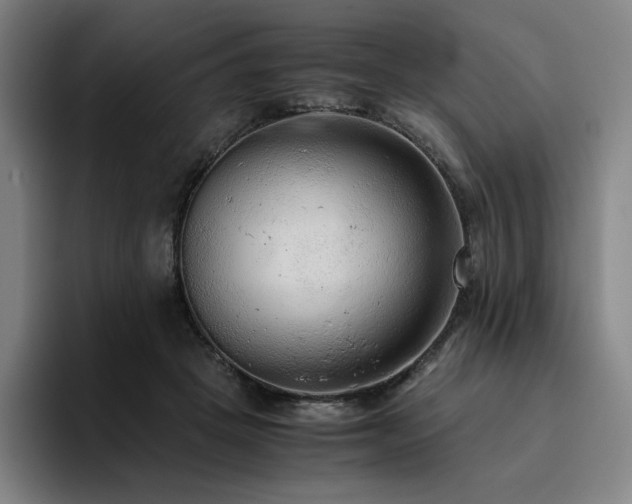 X0000094780457200711161419