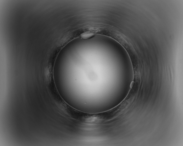 X0000094780460200711161419