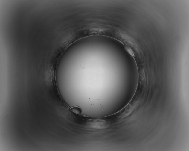 X0000094780463200711161419