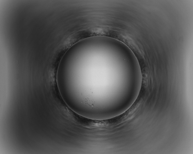 X0000094780466200711161419