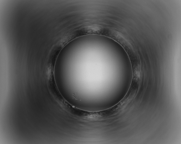 X0000094780468200711161419