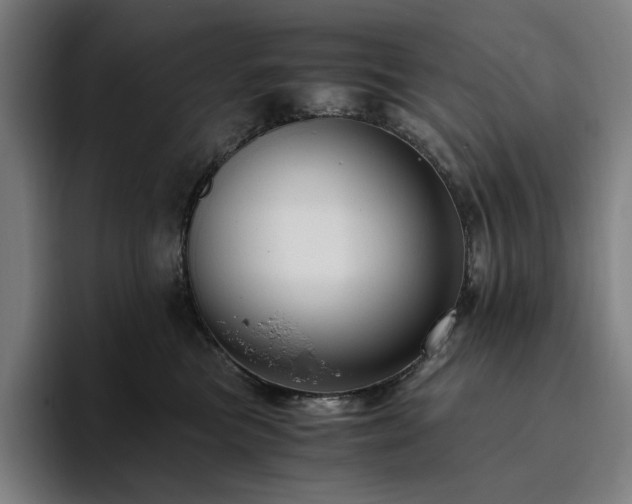 X0000094780473200711161419