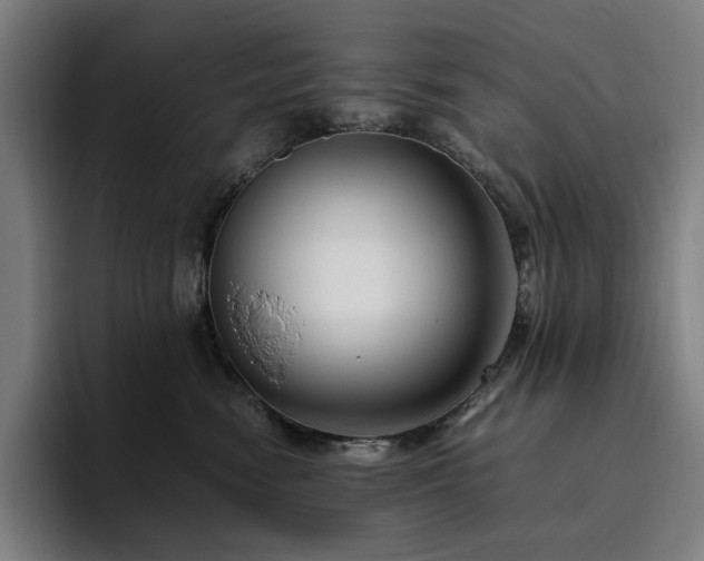 X0000094780474200711161419