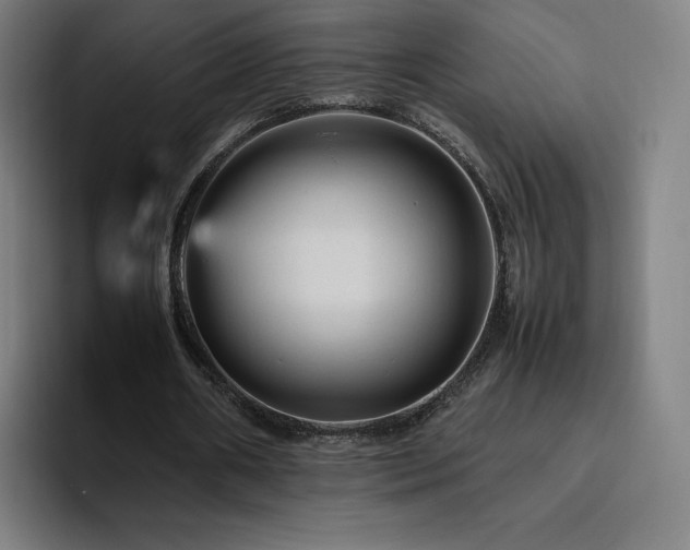 X0000094780482200711161419
