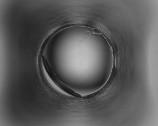X0000094780483200711161419
