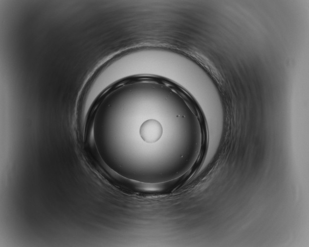 X0000094780484200711161419