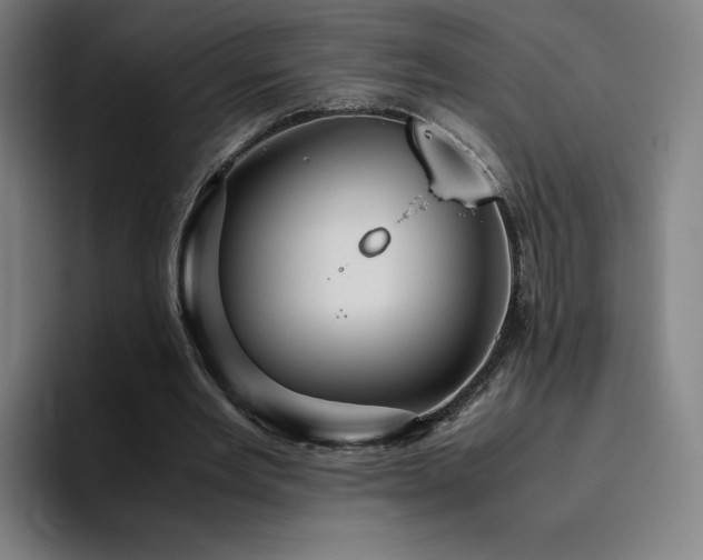 X0000094780485200711161419