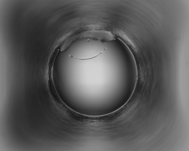 X0000094780486200711161419