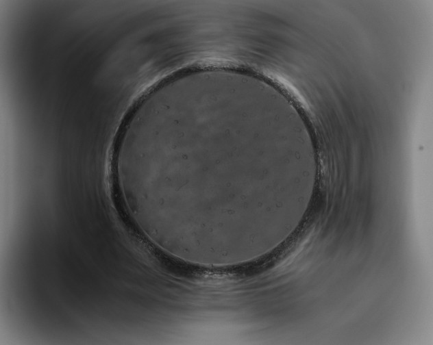 X0000094780487200711161419