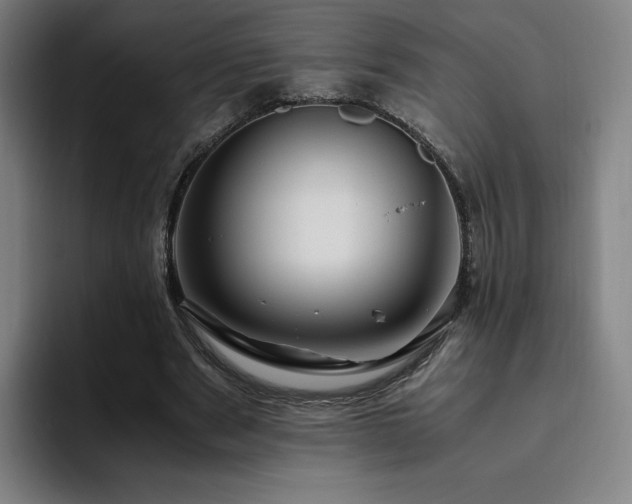 X0000094780489200711161419