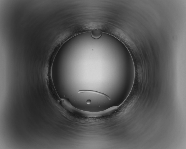 X0000094780490200711161419