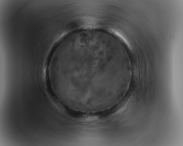 X0000094780491200711161419