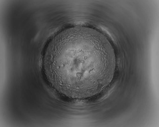 X0000094780495200711161419