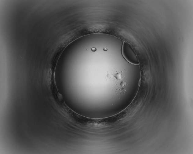 X0000094780498200711161419