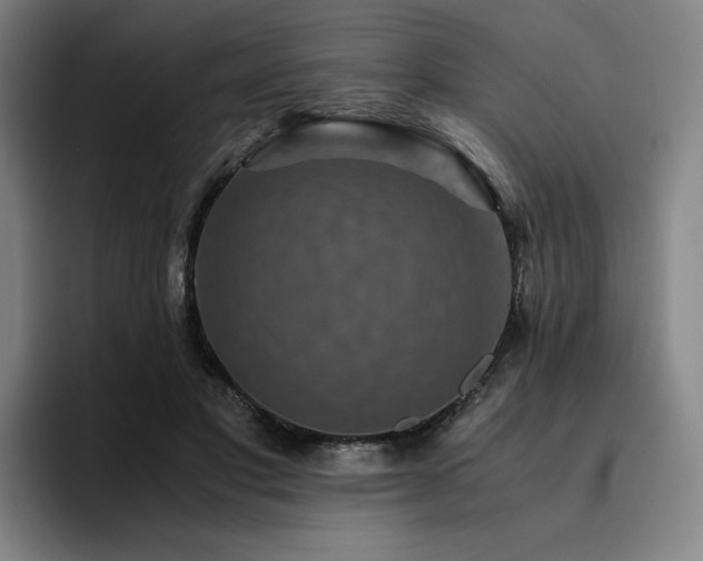 X0000094780501200711161419