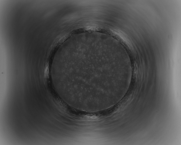 X0000094780502200711161419