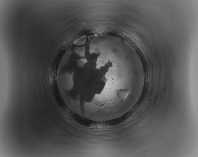 X0000094780503200711161419
