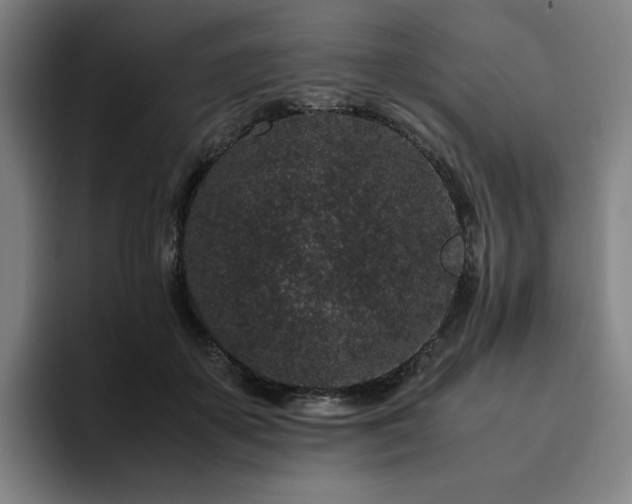 X0000094780507200711161419