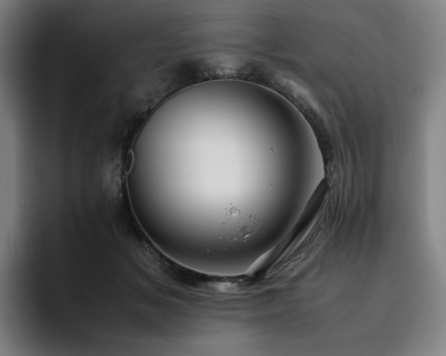 X0000094780509200711161418