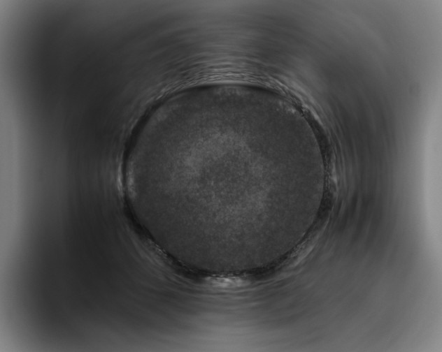 X0000094780512200711161418