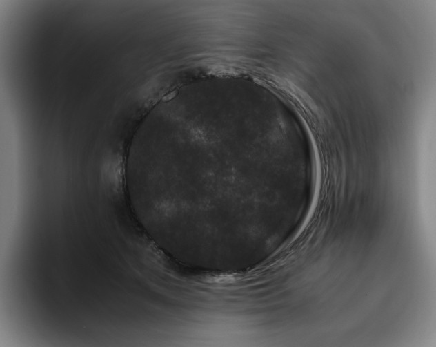 X0000094780513200711161418