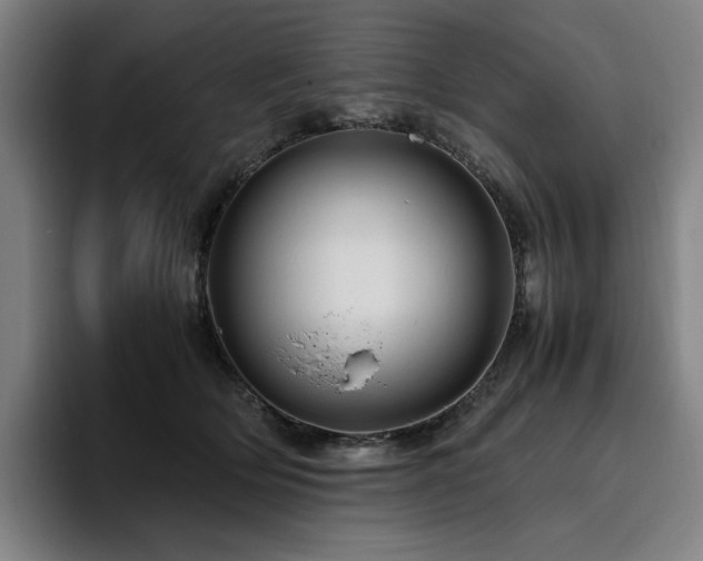 X0000094780514200711161418
