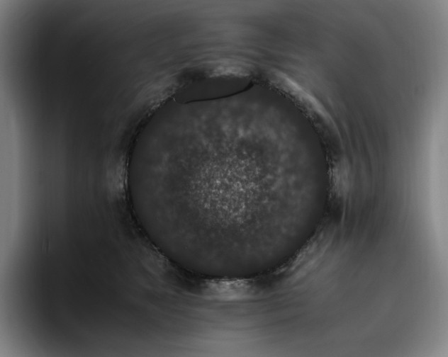 X0000094780517200711161418