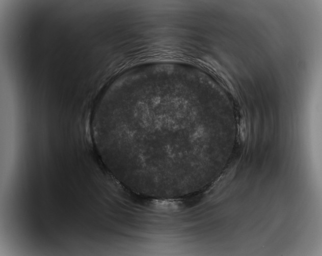 X0000094780520200711161418