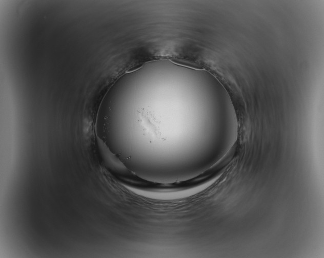 X0000094780521200711161418