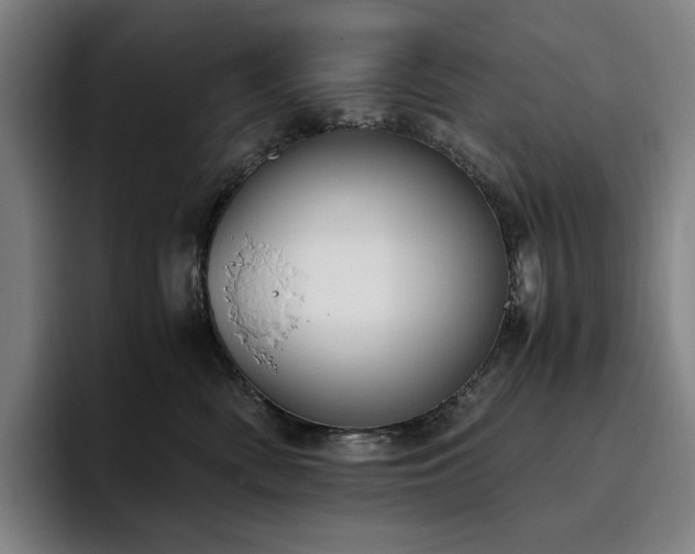 X0000094780522200711161418