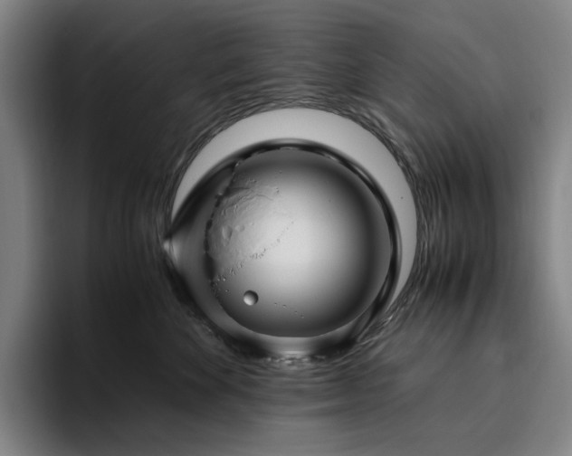 X0000094780524200711161418
