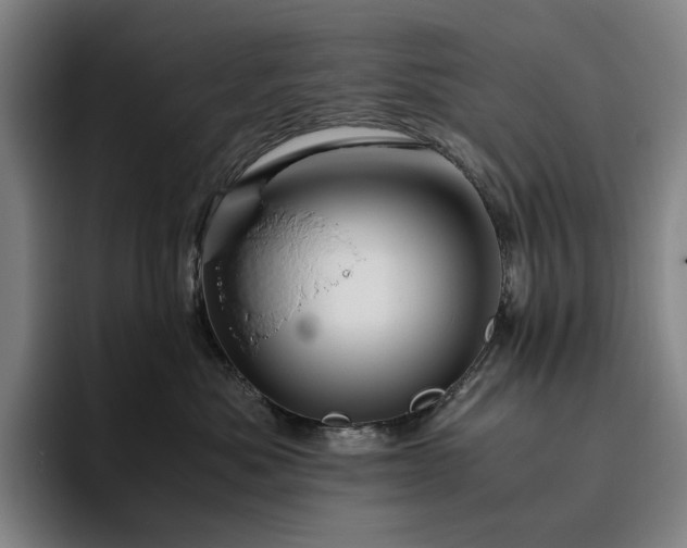 X0000094780525200711161418