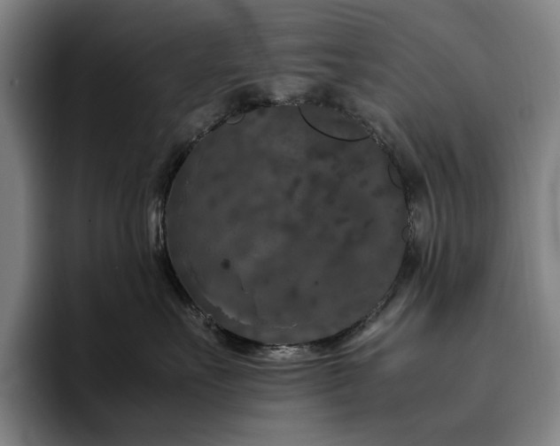 X0000094780527200711161418