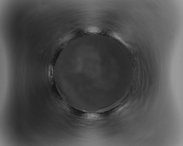 X0000094780528200711161418