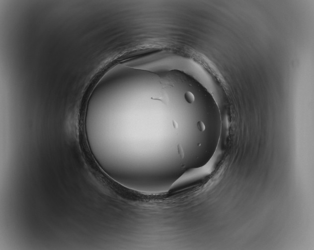 X0000094780530200711161418