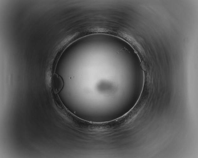 X0000094780533200711161418