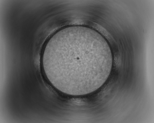X0000094780534200711161418