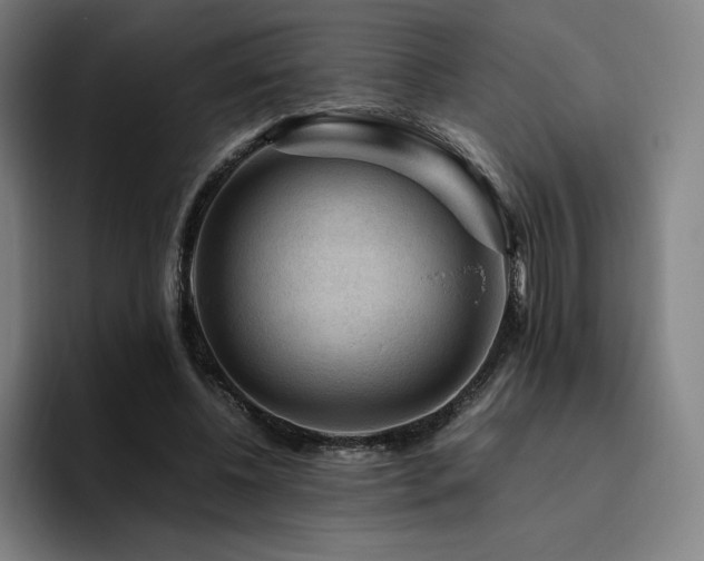 X0000094780540200711161418