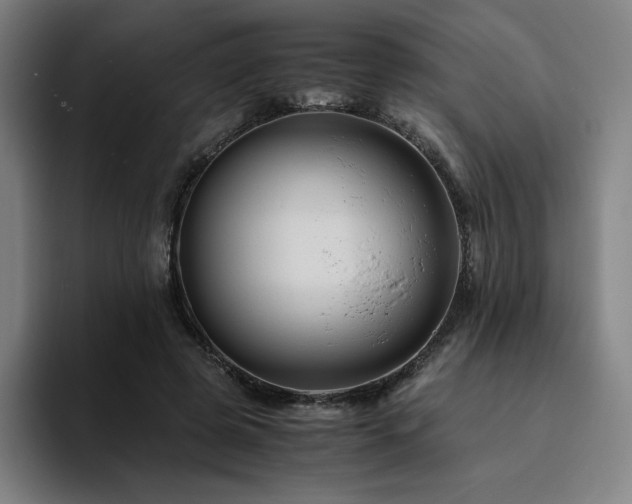 X0000094780545200711161418