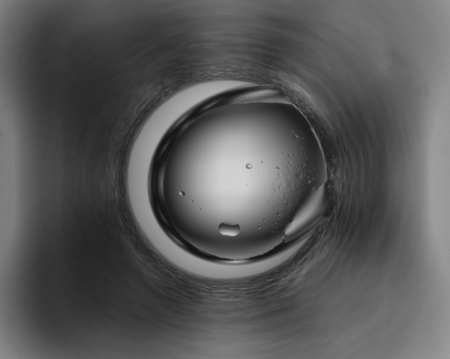 X0000094780546200711161418