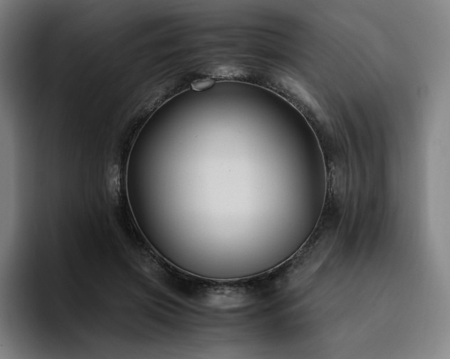 X0000094780549200711161418