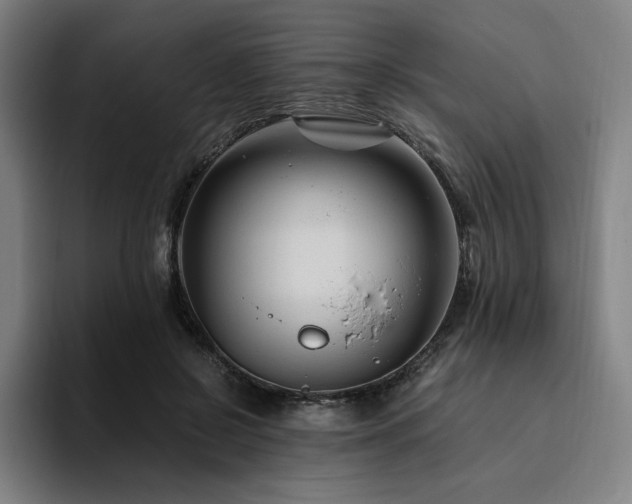 X0000094780550200711161418